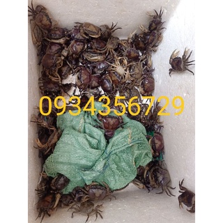cua đồng tươi sống xay 600gr