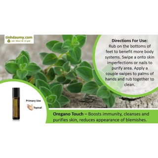 Tinh dầu oregano - Qami16