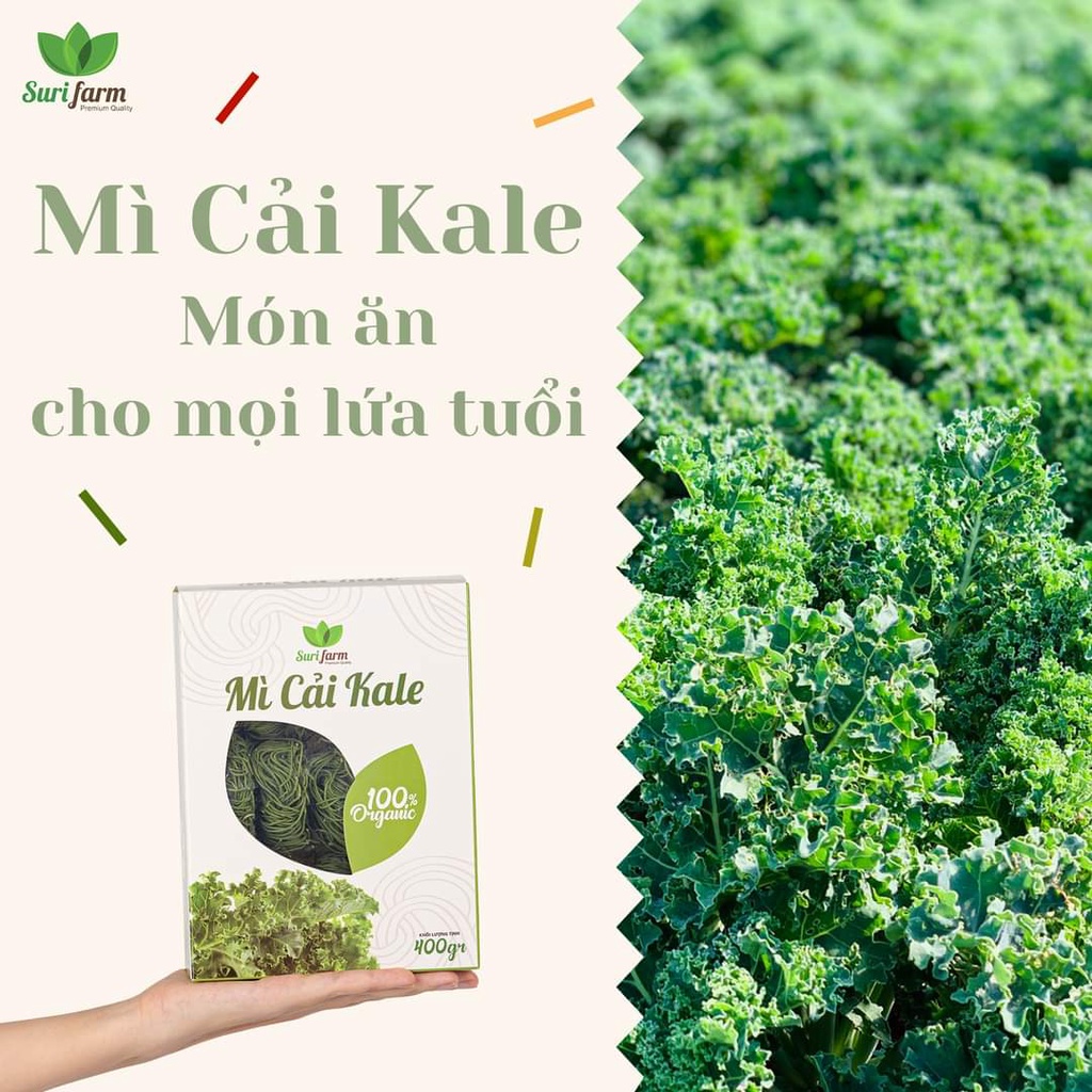 Mì rau cải Kale Organic gói 400g (Mì cải xoăn mẫu mới)