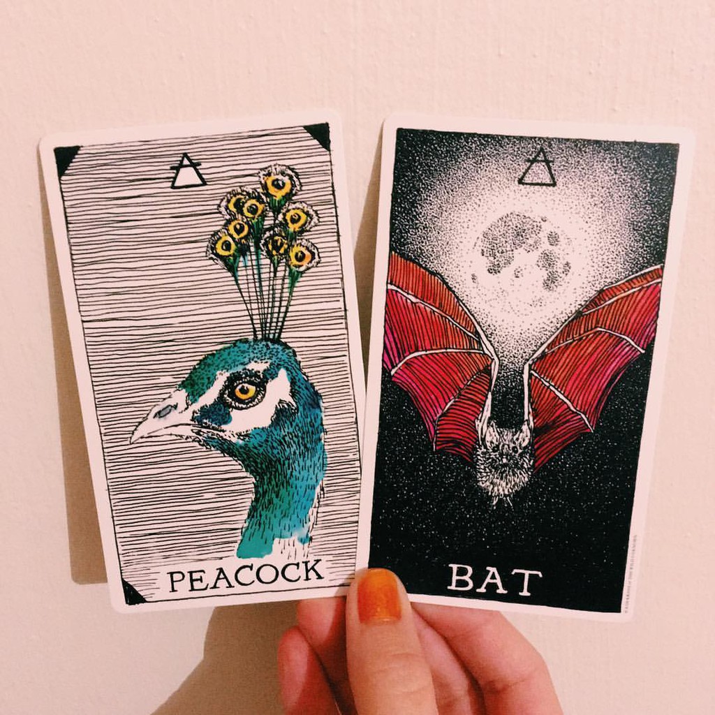 Bộ Bài Animal Spirit Deck (Mystic House Tarot Shop) - Bài Gốc Authentic Chính Hãng 100%