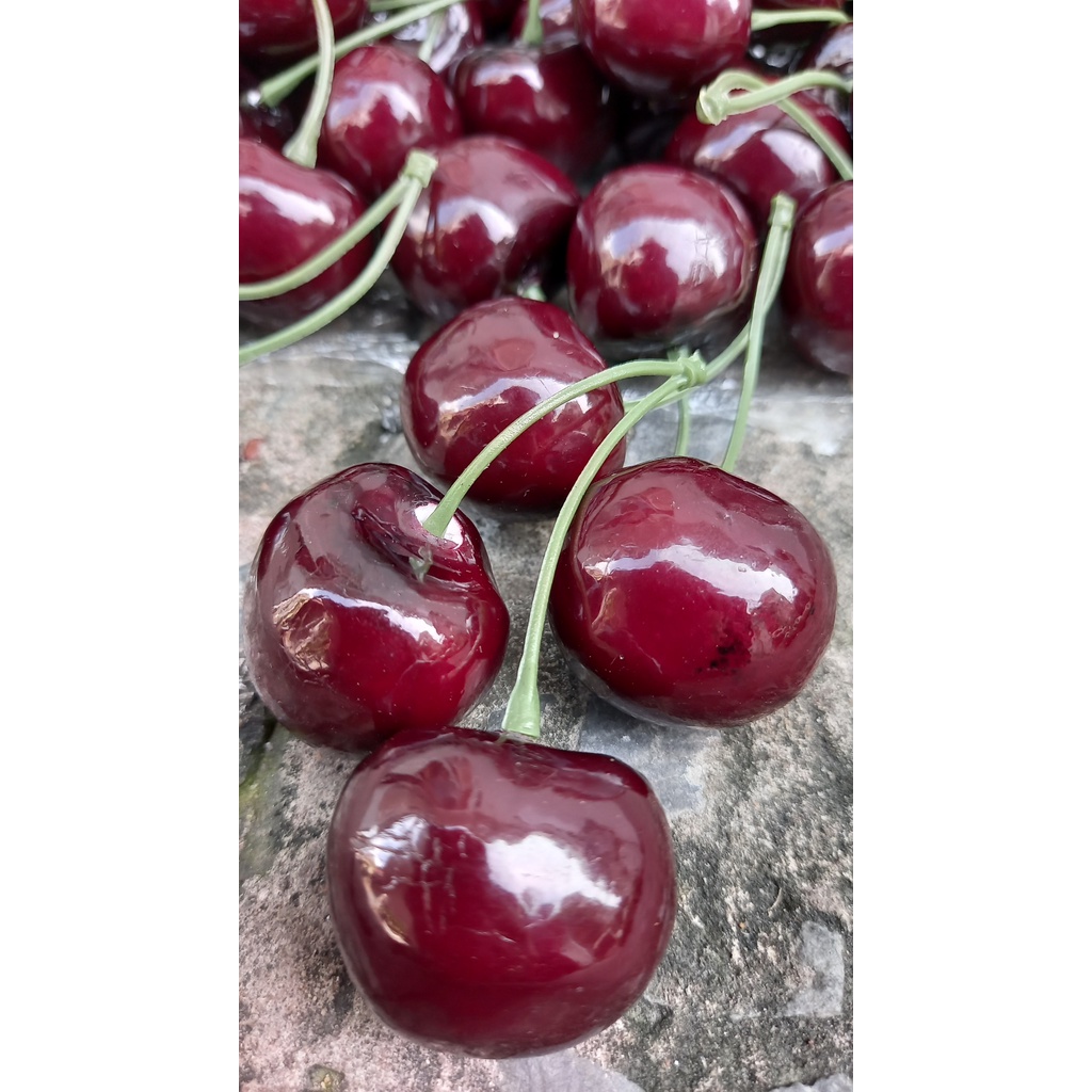 6 Trái Cherry giả - Trái cây giả - Hương Flower