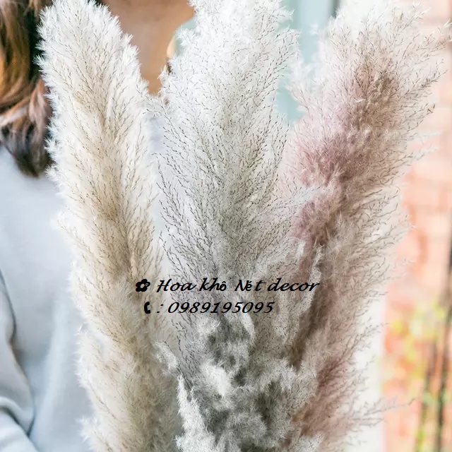 🌸 Cành Lau xù size lớn decor trang trí 🌸 Cành Lau xù cao dài hàng đẹp
