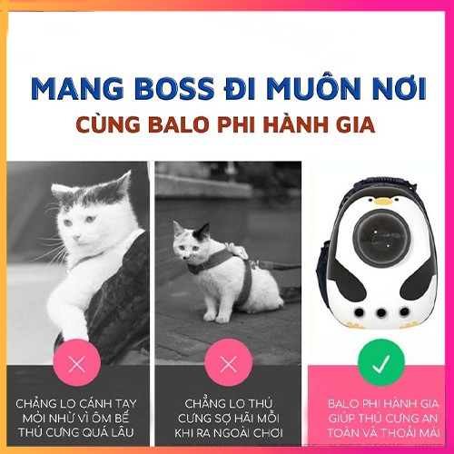 Balo thú cưng 10kg chó mèo giá rẻ địu phi hàng gia trong suốt, Balo vận chuyển chó mèo trong suốt thời trang (Pet Ly Ly)