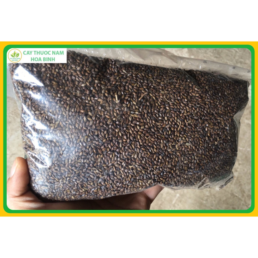 1kg hạt muồng thảo quyết minh khô sạch (chưa sao) | BigBuy360 - bigbuy360.vn