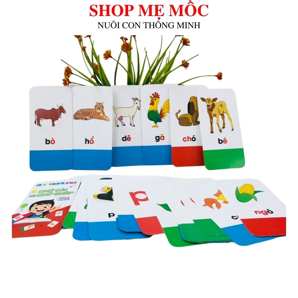 Bộ Thẻ Flash Card 40 Thẻ Chữ Cái Và Chữ Ghép Giúp Bé Tư Duy Ngôn Ngữ, Phát Triển Trí Não - Shop Bố Mốc