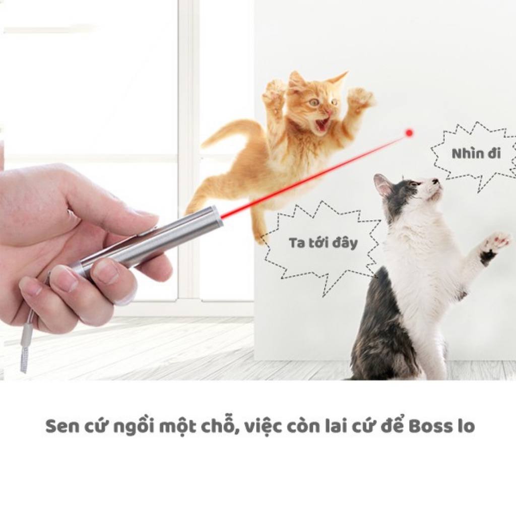 Đồ chơi đèn laser (laze) cho mèo nô đùa