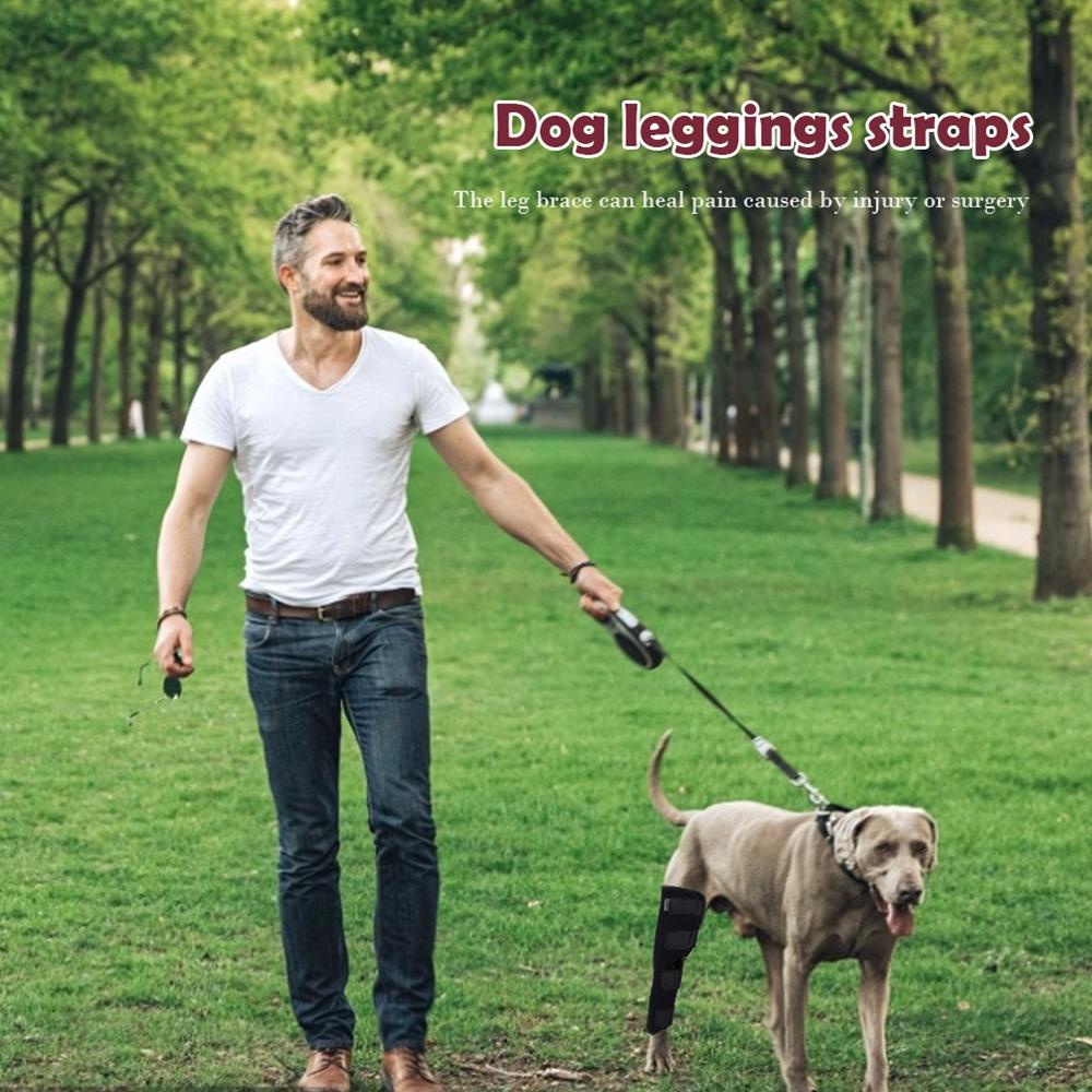 JARRED Đai Quấn Bảo Vệ Đầu Gối Thoáng Khí Cho Chó