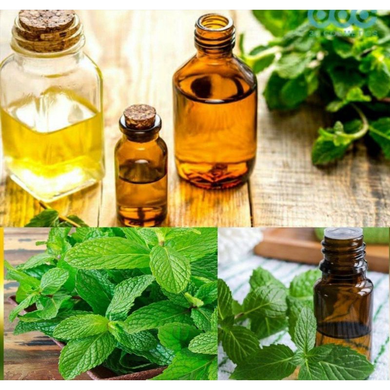 DẦU TẨY TRANG DƯỠNG DA LÁ  BẠC HÀ  NHÀ BỘT