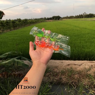 Rau câu Cá tuổi thơ dữ dội thơm ngon