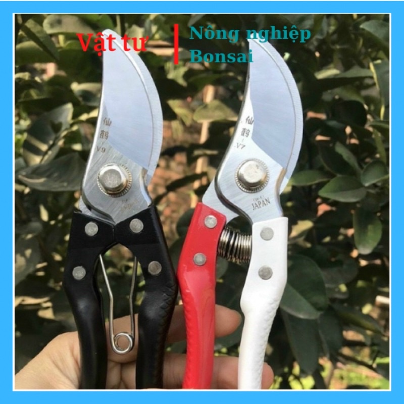 Kéo cắt cành V7/V9/Sada 210 Nhật Bản