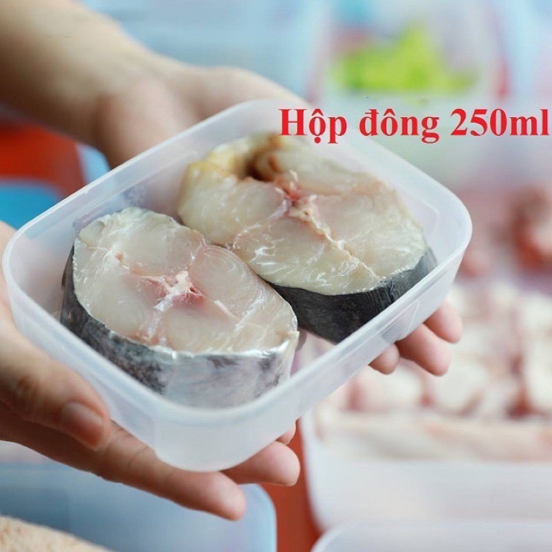 Hộp Đông Dẹt 650ml