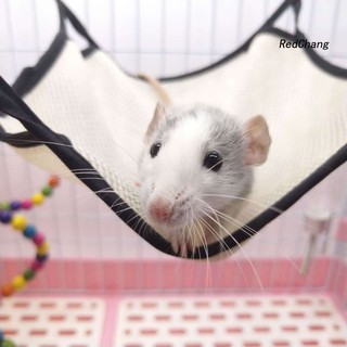 Võng Treo Cho Chuột Hamster