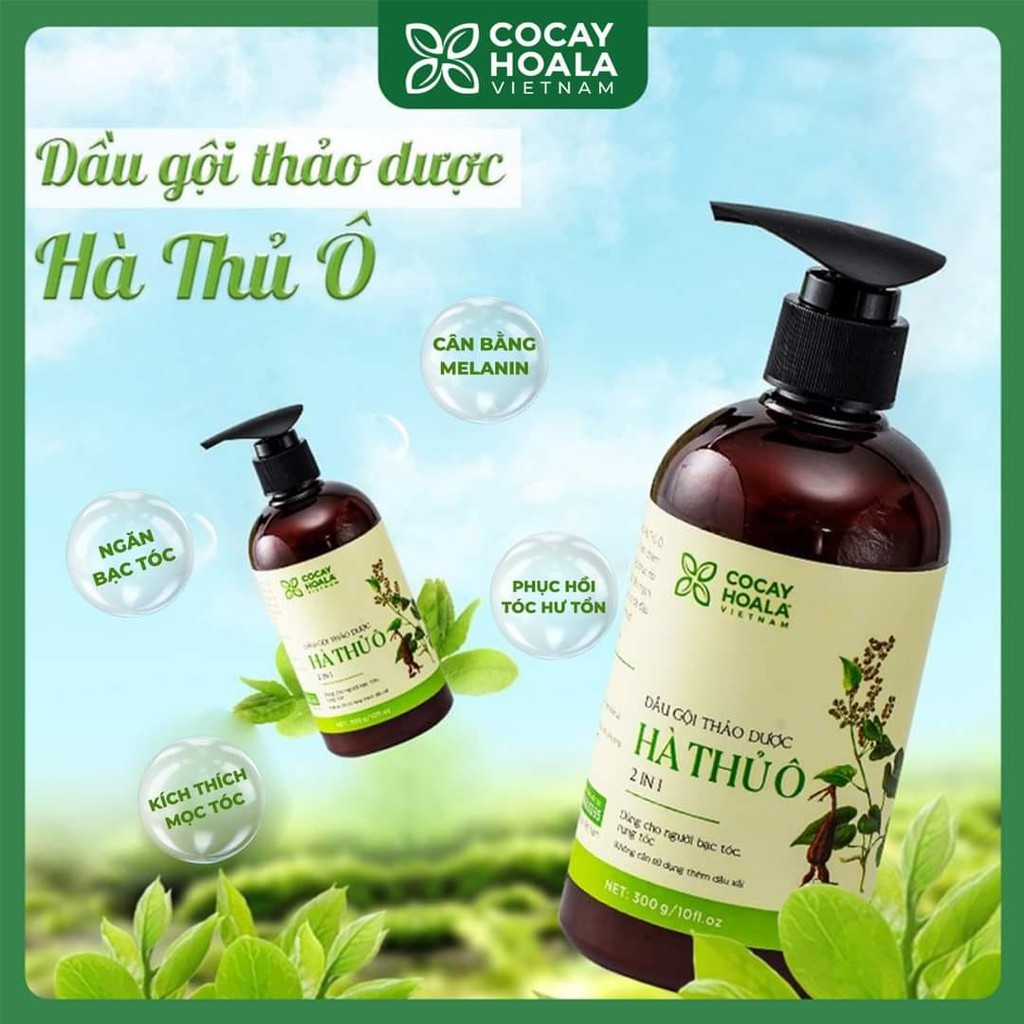 🌿Dầu gội thảo dược Hà Thủ Ô🌿 làm đen tóc, ngăn ngừa bạc tóc, giảm rụng tóc