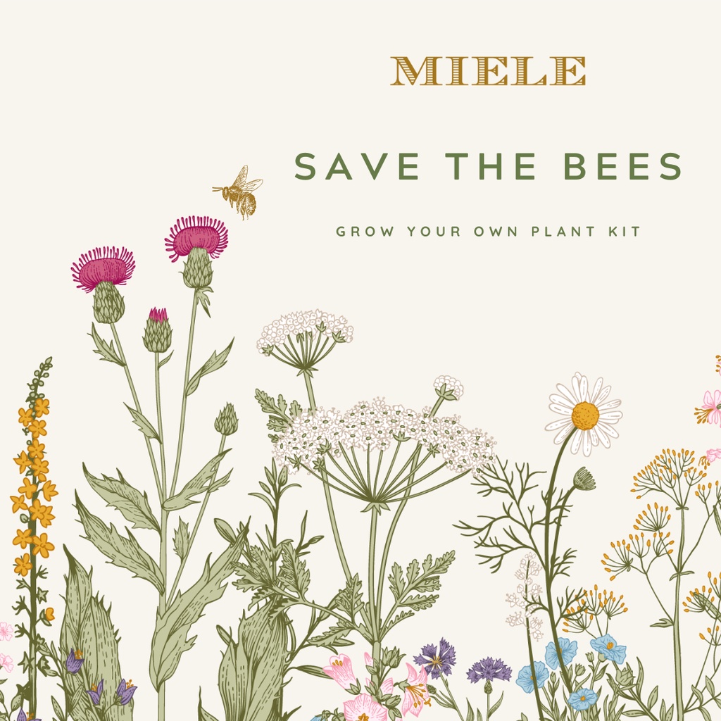 Kit trồng cây tiện lợi dễ dàng Bee-friendly Miele [Grow your own plant kit]