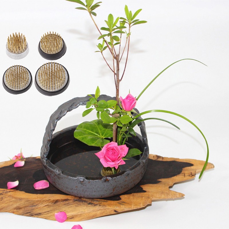 Ngôi nhà hoa ếch sắp xếp nghệ thuật Ikebana Kenzan