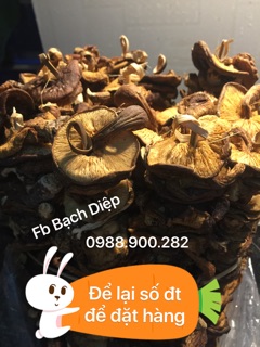 Nấm hương rừng 50gram