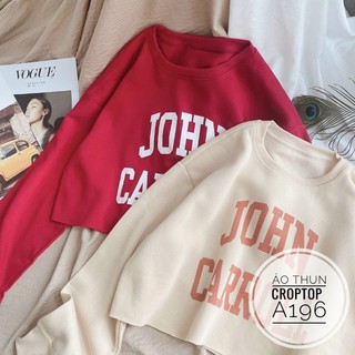 Bigsize Áo thun croptop A196