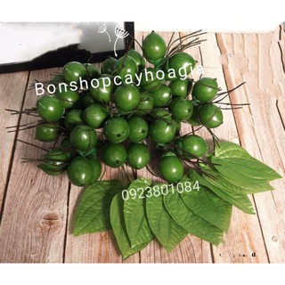 Buồng cau lá trầu có hơn 48 quả- Quả lá giả
