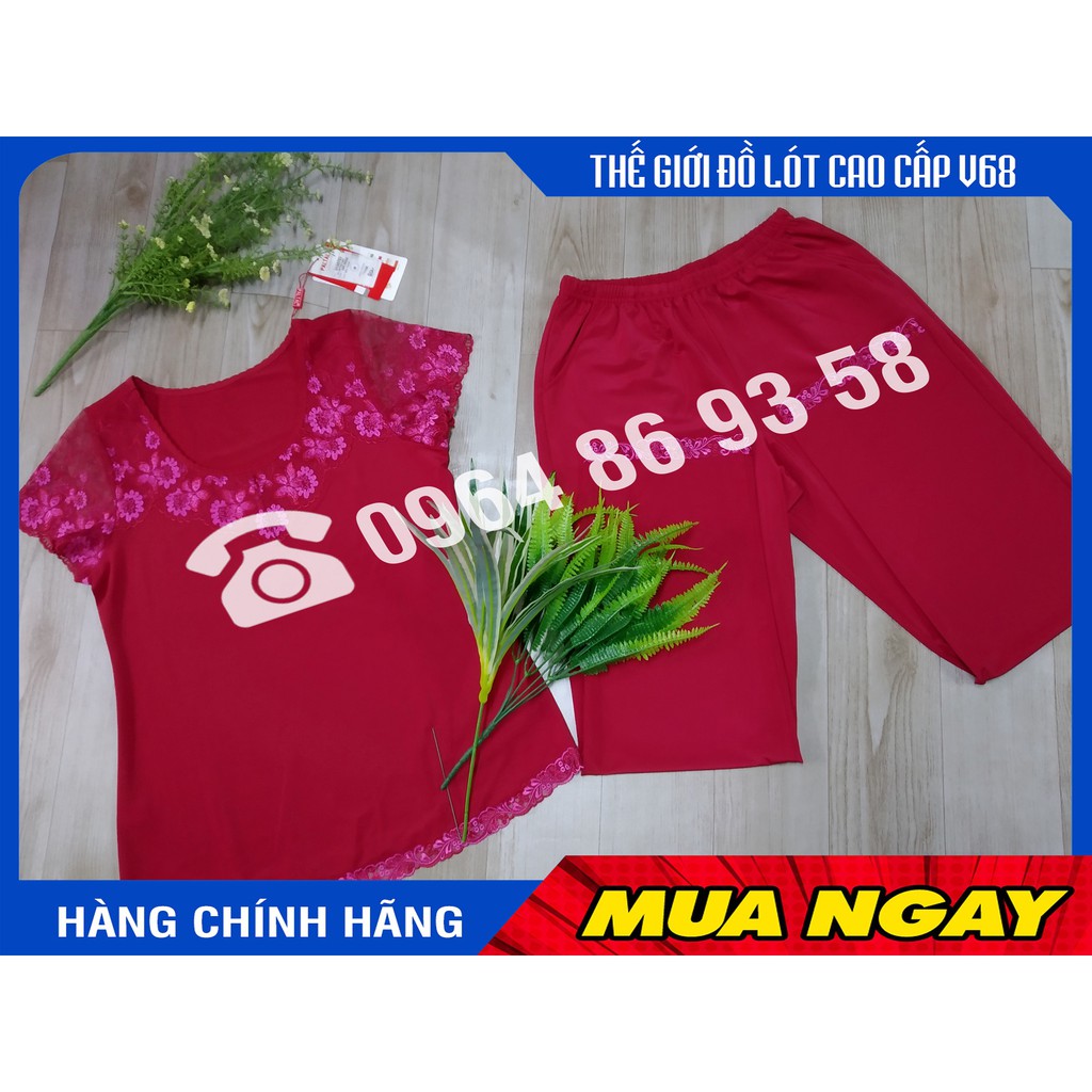 Bộ quần áo nữ mặc nhà, cộc tay quần dài thun lạnh Paltal 130702