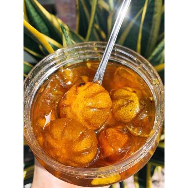 Tắc xí muội hoa