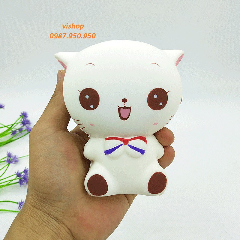 SquiShy MÈO TRÒN ĐEO NƠ