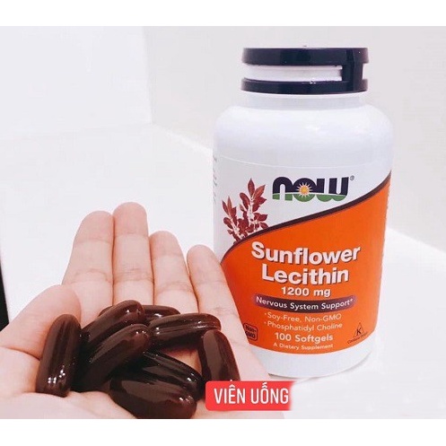 Viên uống chống tắc tia sữa Lecithin 1200mg - Now Sunflower Lecithin 100v-Hàng Date mới