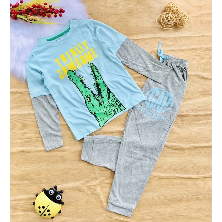 🚗 Bộ dài tay cotton xuất Gap bé trai từ 20-60kg