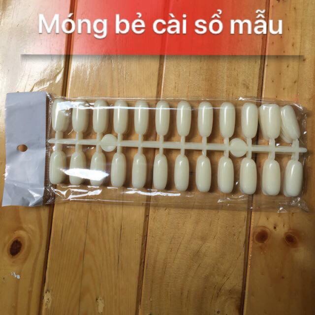 Món bẻ cài sổ mẫu (120 móng )