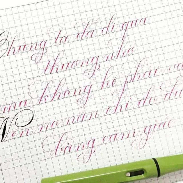 Jinhao 559