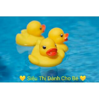 Đàn vịt thả bồn tắm, thau tắm