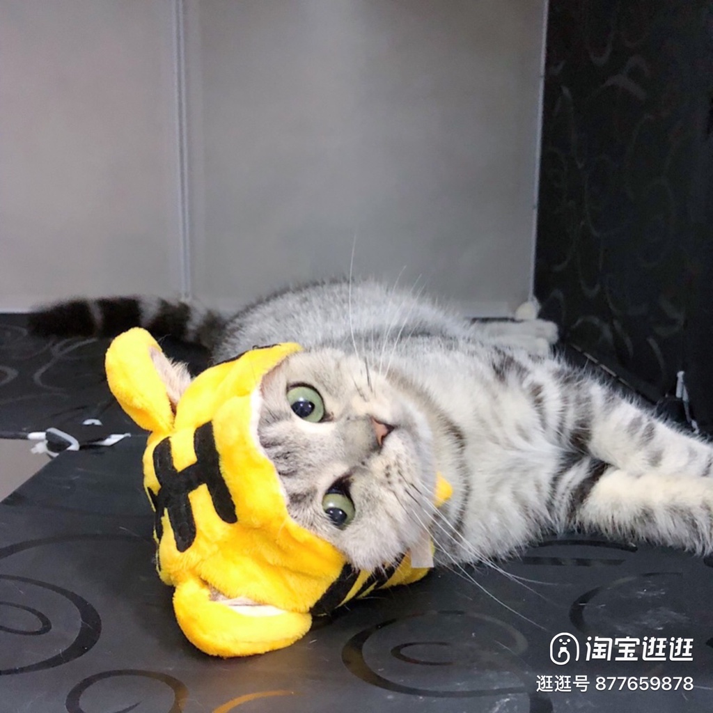 Mũ cho chó mèo dễ thương đủ kích thước từ 1kg tới 15kg