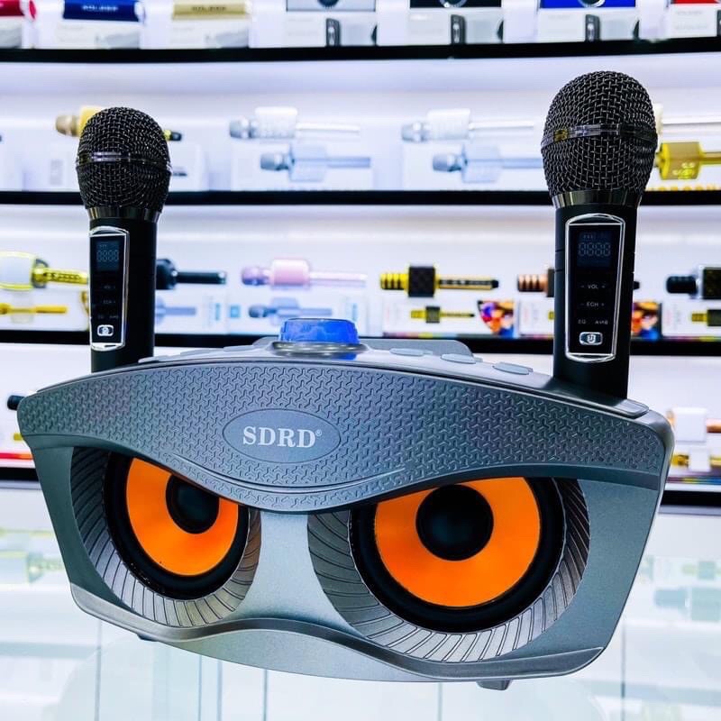 Loa Karaoke Bluetooth Mắt Cú SD 306 Plus Kèm 2 Micro Cực Hay (Bản Nâng Cấp Của SD 306)