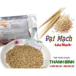 Đại Mạch 500g (Lúa Mạch) - Hàng Chọn Lọc Loại 1