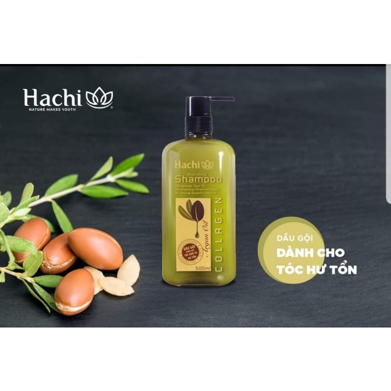 DẦU GỘI HACHI TINH DẦU ARGAN DÀNH CHO TÓC KHÔ XƠ HƯ TỔN GIÁ TỐT