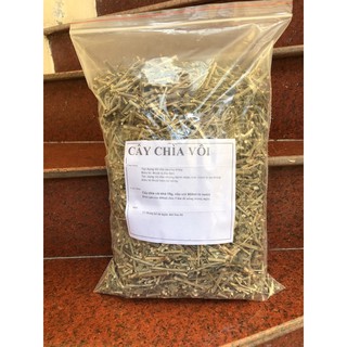 Cây chìa vôi 1kg