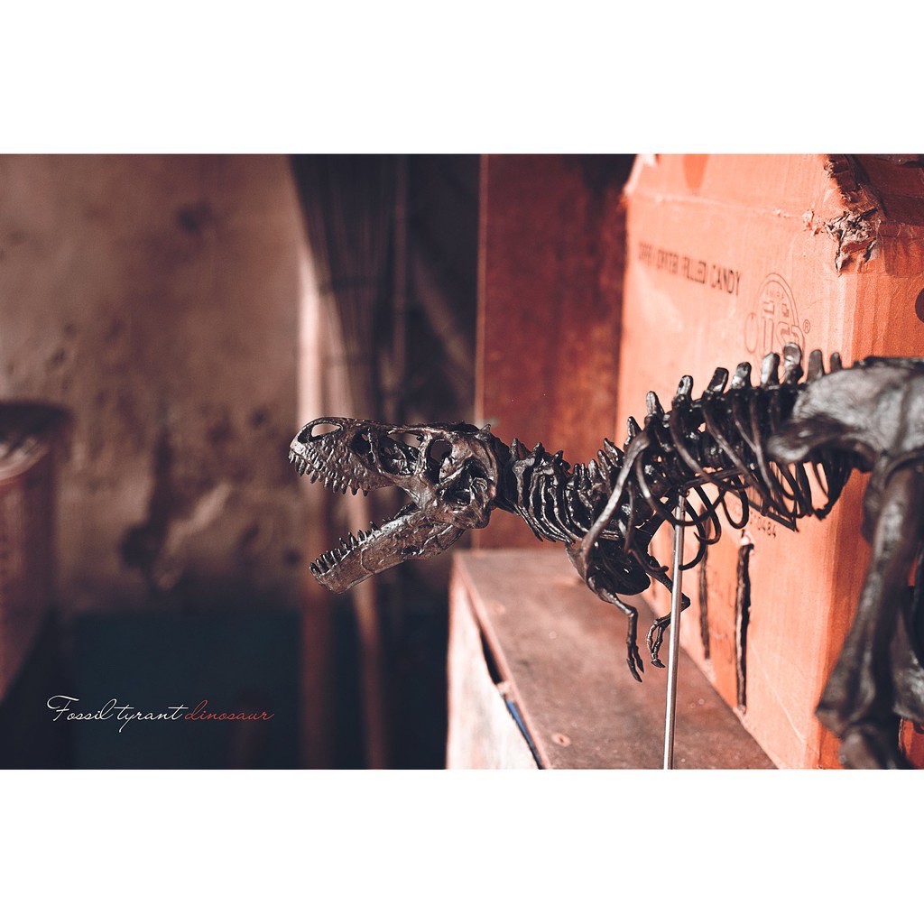 Mô hình Khủng Long Bạo Chúa T-Rex 5D