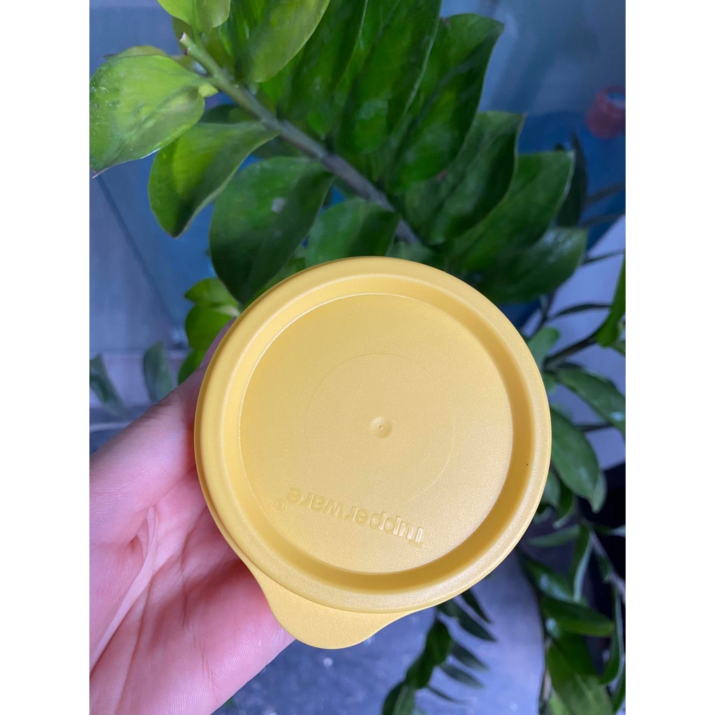 Hộp snack cup / bowl over Tupperware