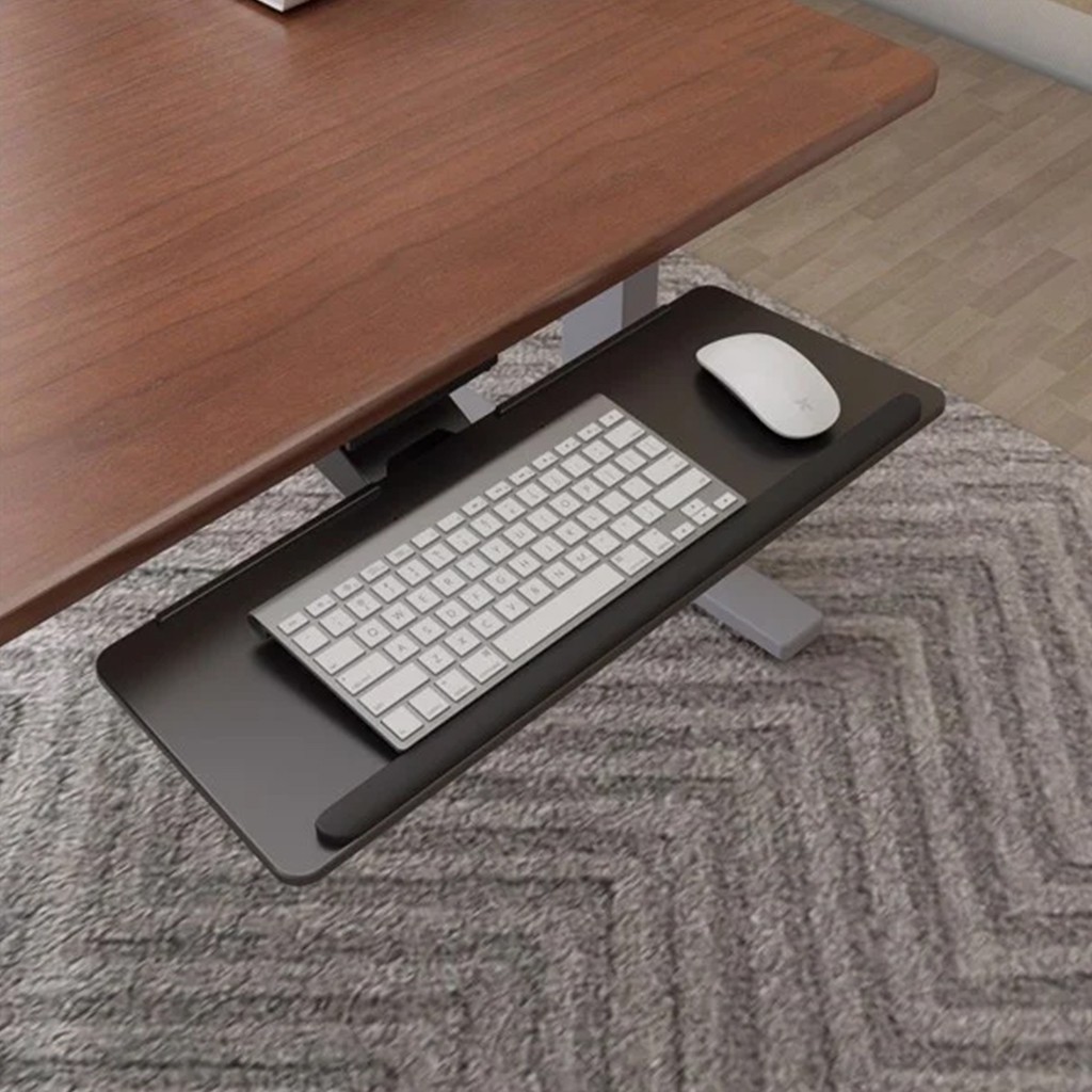 Giá Bàn Phím Máy Tính D'ergo Flexispot Keyboard Tray KT101