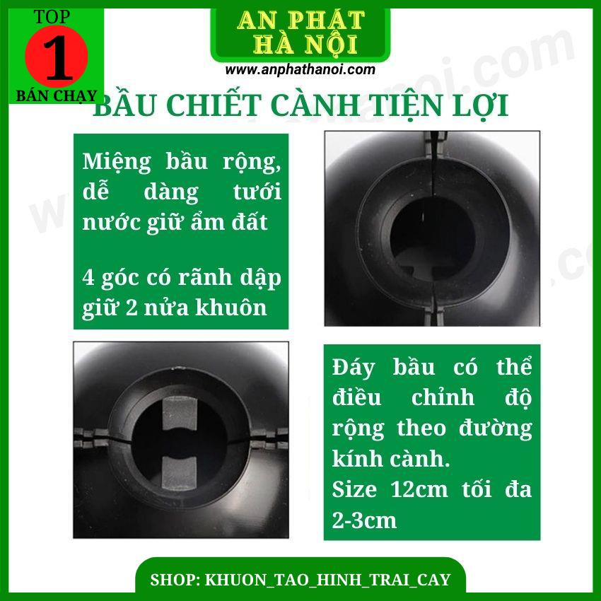 1 Bầu Chiết cành loại đẹp, dụng cụ chiết cành chuyên dụng, hộp ươm ghép cành