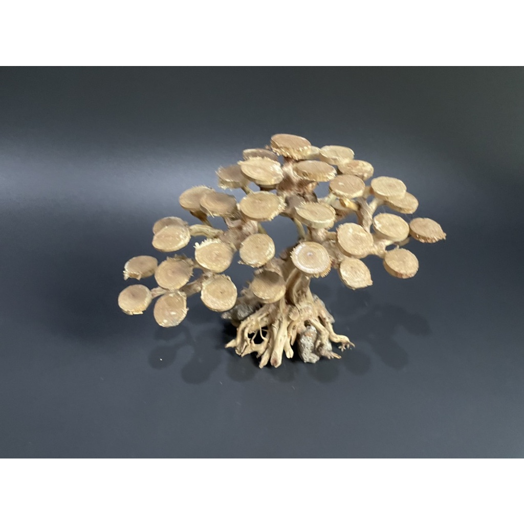 Lũa Bonsai, Lũa thủy sinh dùng trang trí hồ cá cảnh, hồ thủy sinh, văn phòng, nhà cửa