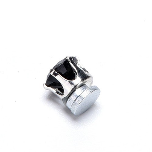 Hoa tai nam châm cho nam và nữ