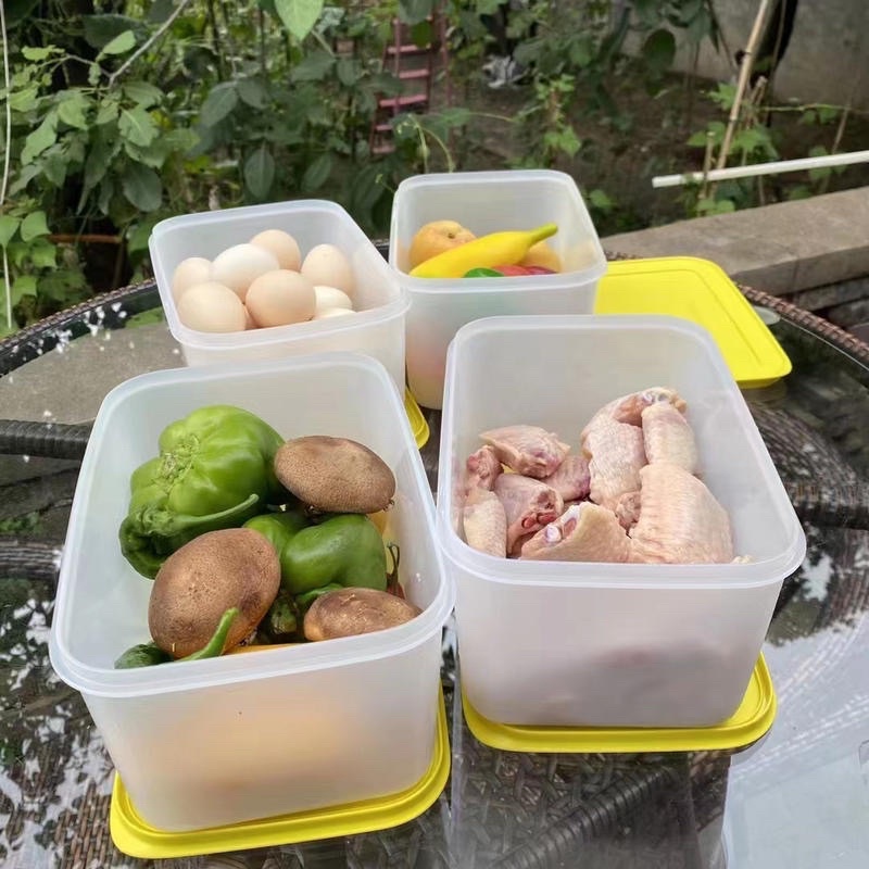 Set 4 Hộp Nhựa 2,5L Đông Dẻo Gen 2 Chính Hãng Tupperware - Bảo Quản Thực Phẩm Tươi Ngon Hơn