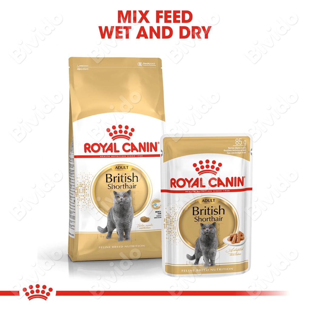 Thức ăn Royal Canin British Shorthair Adult mèo Anh lông ngắn túi 400g - Bivido