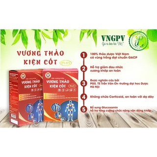 VƯƠNG THẢO KIỆN CỐT PLUS
