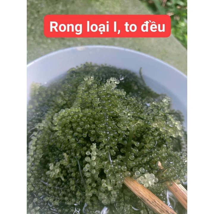 Sỉ Rong nho tách nước gói 100g nở 300g giá sỉ siêu rẻ shop Hana Farm