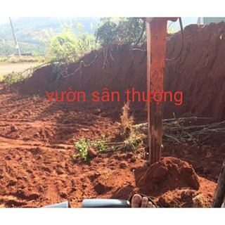 20kg Đất Đỏ Bazan Tặng 400gr Trấu, Trộn Đất Trồng Cây, Rau Củ, Quả. Giúp Cây Đứng Vững