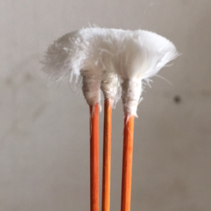 Bông ráy tai lông vịt 20 cái