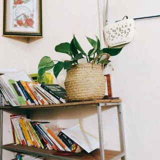 Chậu cây/giỏ hoa trang trí