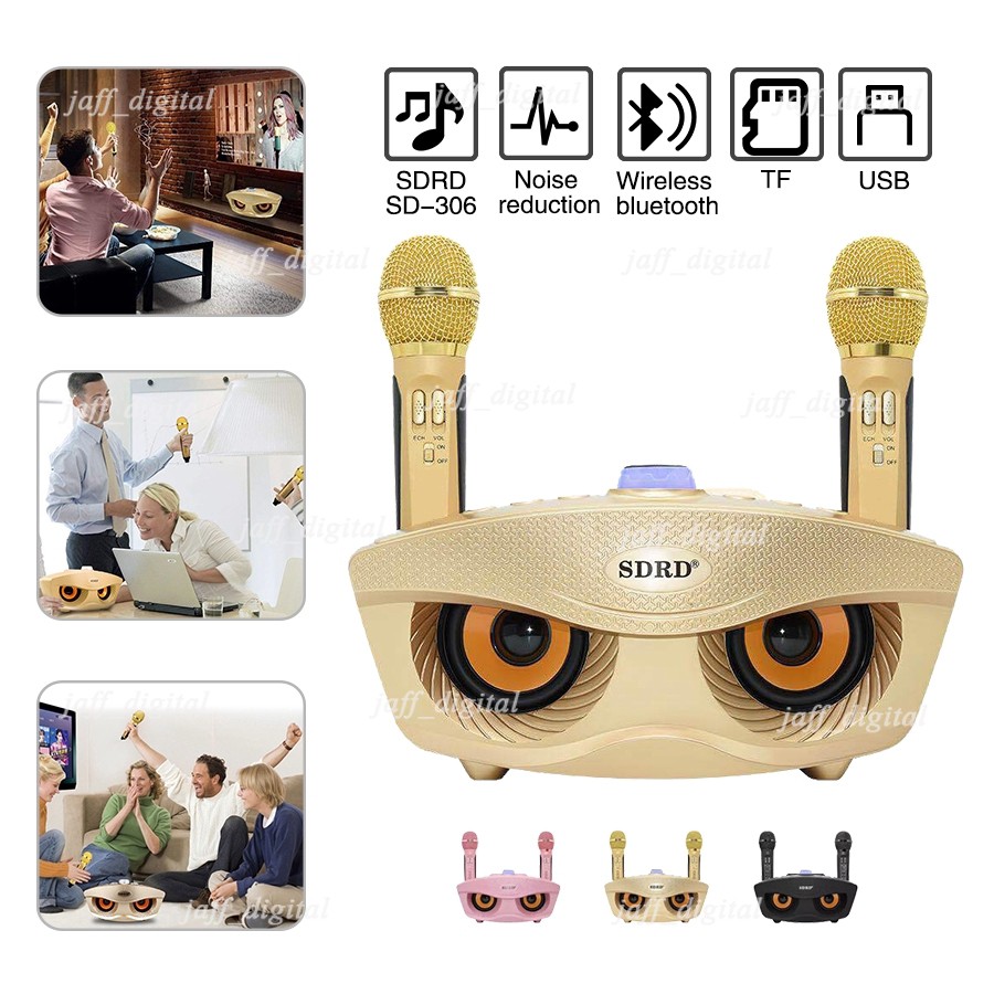 Loa Bluetooth Karaoke SDRD SD-306 Plus 2021 Kèm 2 Micro TẦN SỐ RIÊNG 30W Nâng Cấp Vượt Trội Sd-306