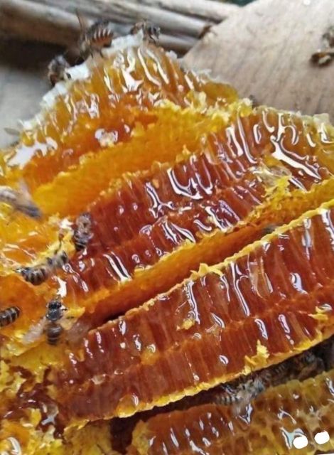 1 LÍT MẬT ONG  NGUYÊN CHẤT 100%